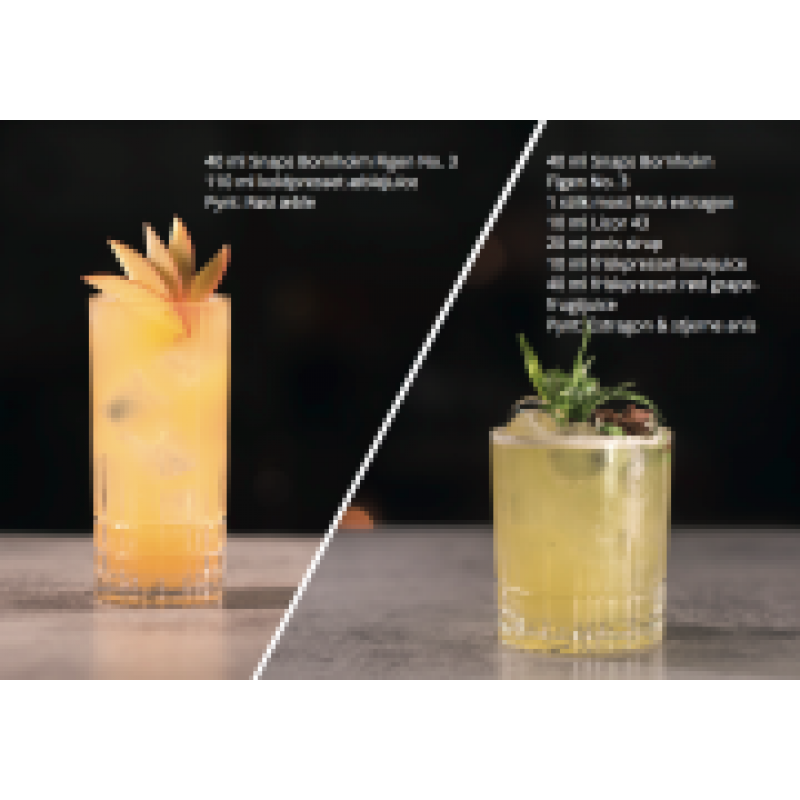 SnapsBornholmFigen-312