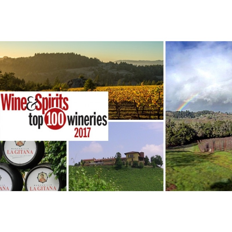 Chateau du Moulin-a-Vent, Couvent des Thorins 2014