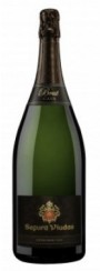 Segura Viudas Reserva Cava MAGNUM 
