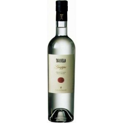 Antinori, Tignanello Grappa